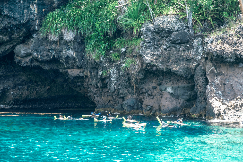 Randonnée palmée dans une anse abritée de la côte Caraïbe
